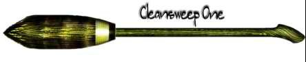 Cleansweep1.jpg, 5 KB